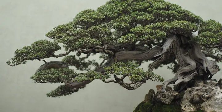 Insurance & coverage