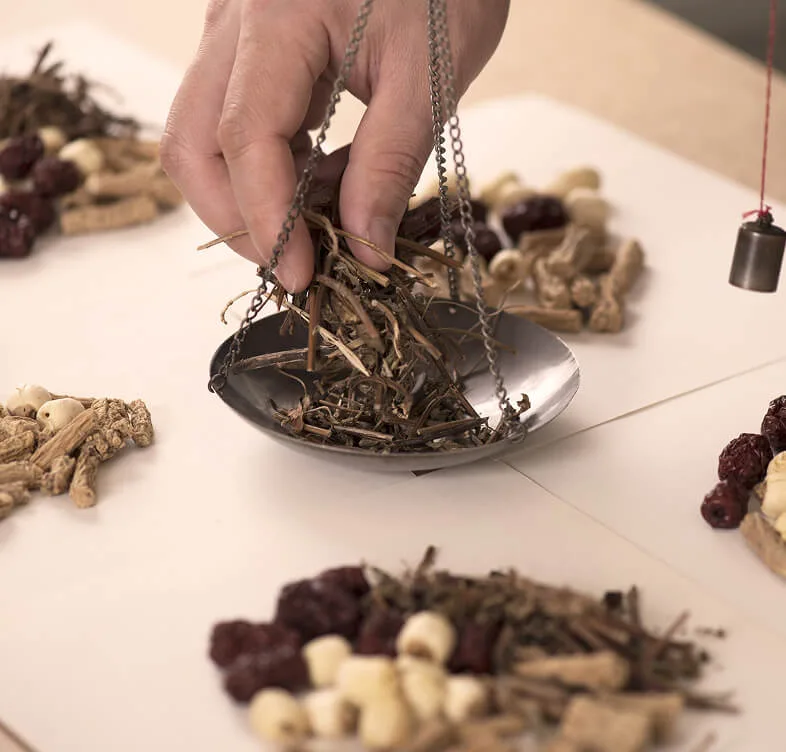 Traditional Chinese Herbal Medicine (TCHM)
